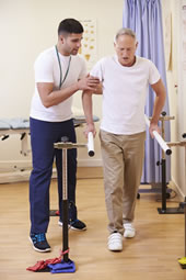 Adult Neuro Physio